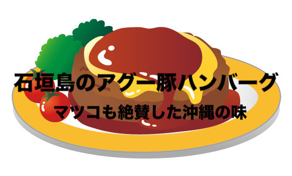 沖縄 石垣島の味を通販でお届け マツコも絶賛したハンバーグ アグー豚 フリーランスな笑い声