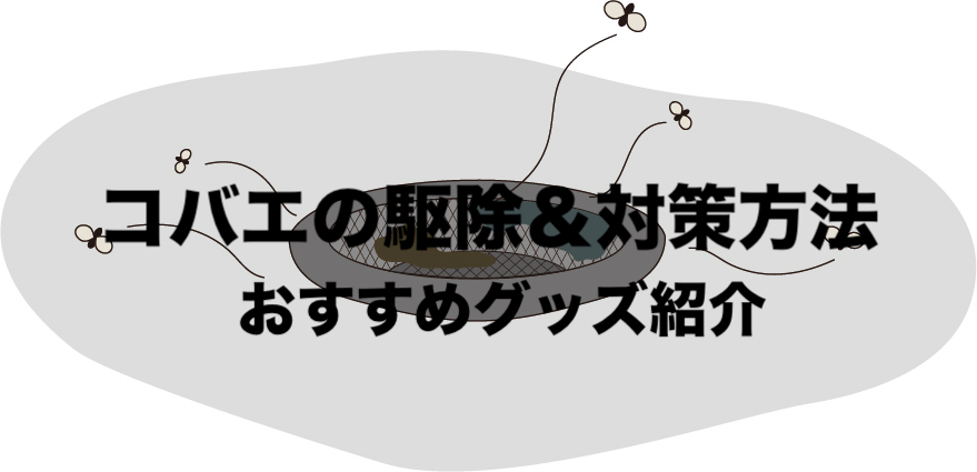 夏にうざいコバエをホイホイ駆除しよう トラップ対策とおすすめ予防 フリーランスな笑い声