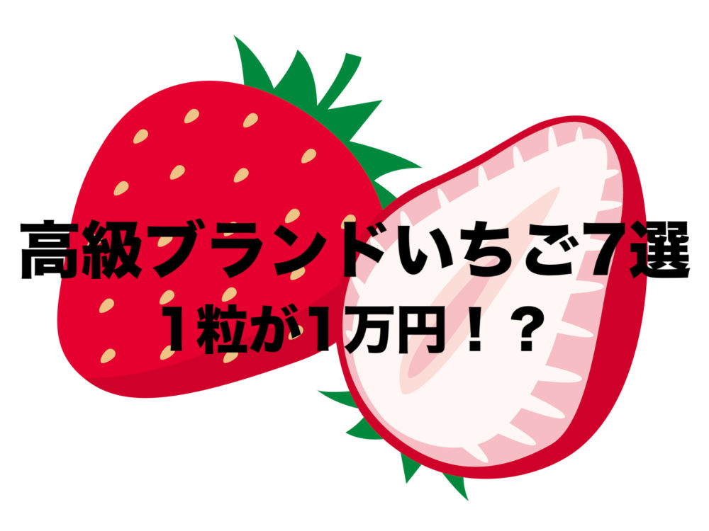 高級ブランドいちご7選をお取り寄せ【2020年】｜1粒で1万円？おすすめ | フリーランスな笑い声